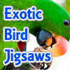 Exotic Bird Jigsaw