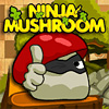 Ninja Mushroom