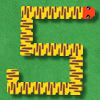 Flash Snake
