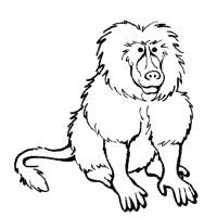 Apes, Monkeys, Baboon » Coloring Pages » Surfnetkids