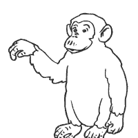 Download Apes, Monkeys » Page 2 of 2 » Coloring Pages » Surfnetkids