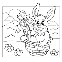 Basket Bunny