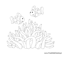 Clown Fish with Anemone