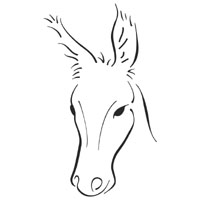 Donkey Portrait » Coloring Pages » Surfnetkids