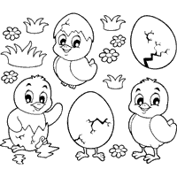 Five Little Chicks