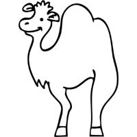 Lumpy Camel