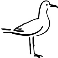 Bird » Page 3 of 4 » Coloring Pages » Surfnetkids