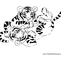 tiger cubs coloring pages