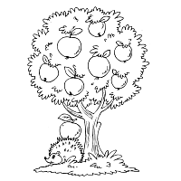 Apple Tree