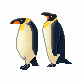 Penguins